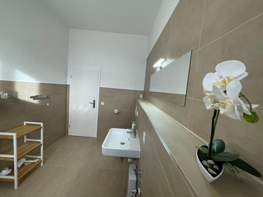 Lucky Stays Ls10 - Vollausstattung - Zentrum - Aufzug - Grosse Kueche - 2 Zimmer - Smart-Tv Magdeburg Zewnętrze zdjęcie